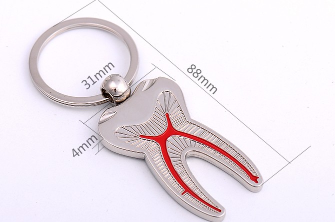 Tooth alloy keychain